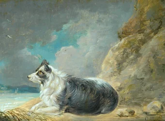 Freund